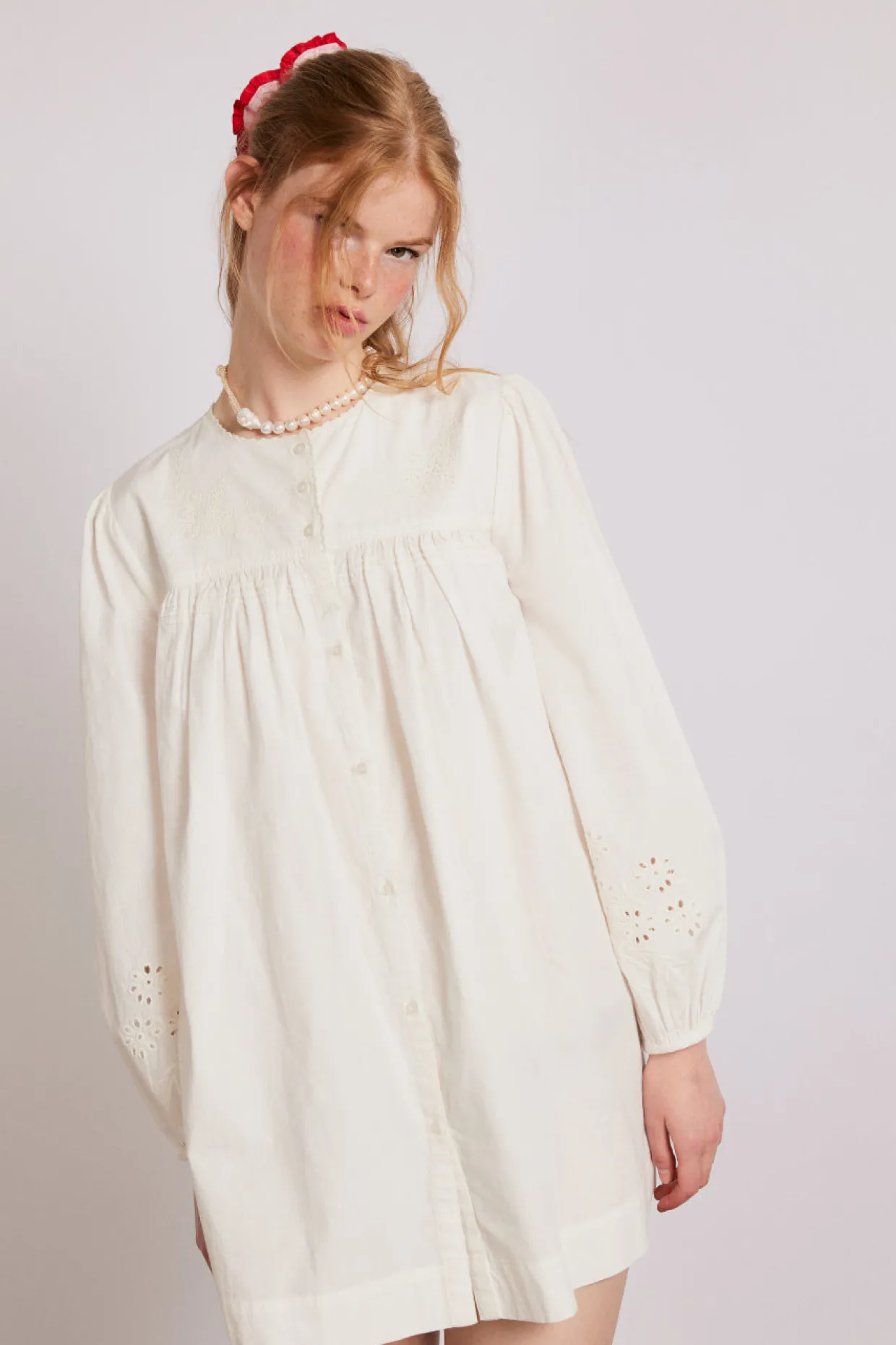 embroidered genevieve mini dress